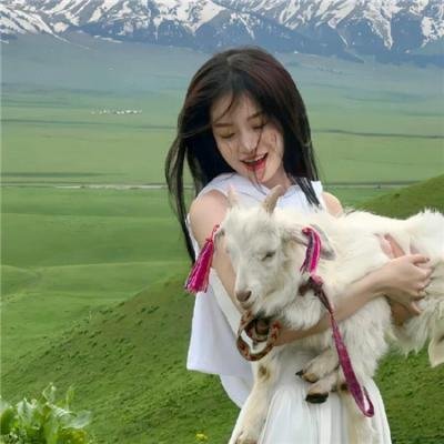 美国最恐怖的宠物